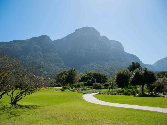 https://kapuy.org/travel/wp-content/uploads/2018/08/post_capetown_04-2-640x480.jpg