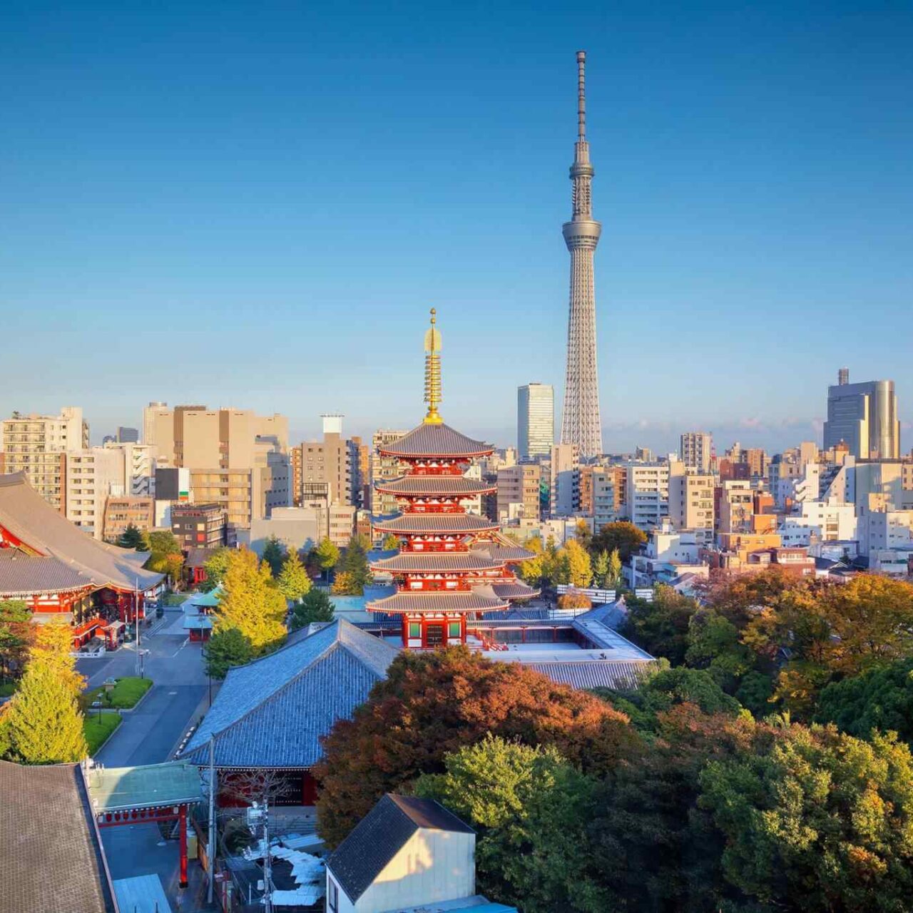 https://kapuy.org/travel/wp-content/uploads/2018/09/destination-tokyo-04-3-1280x1280.jpg