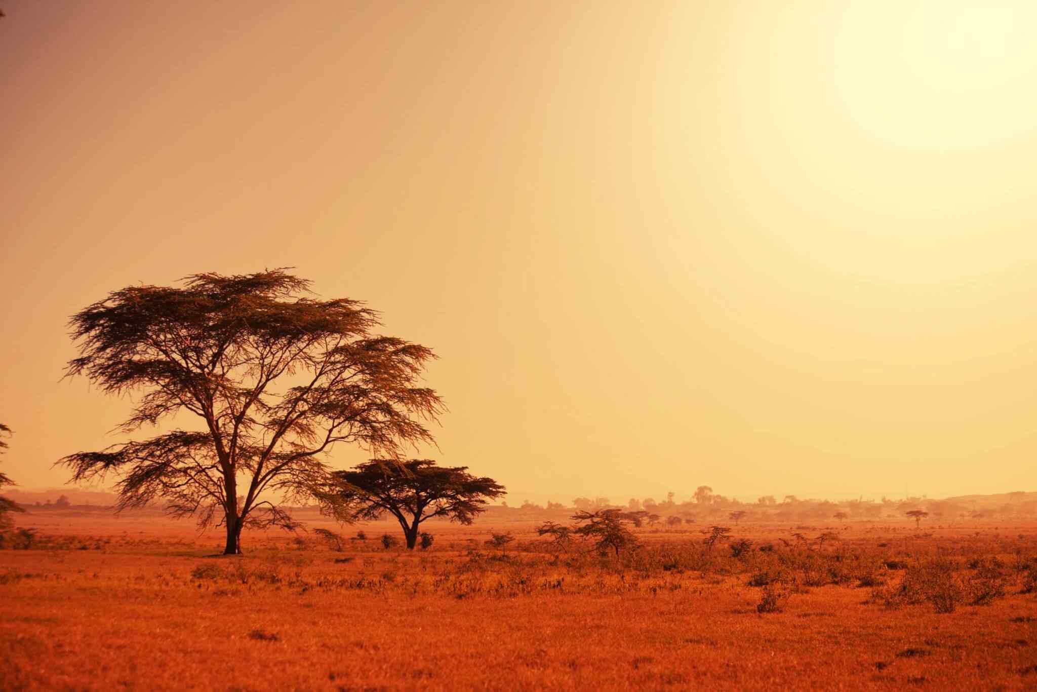 https://kapuy.org/travel/wp-content/uploads/2018/09/tour-africa-02-3.jpg