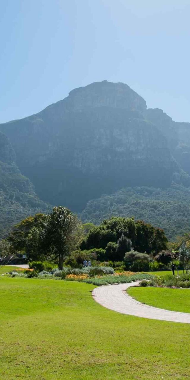 https://kapuy.org/travel/wp-content/uploads/2018/09/tour-capetown-03-3-640x1280.jpg
