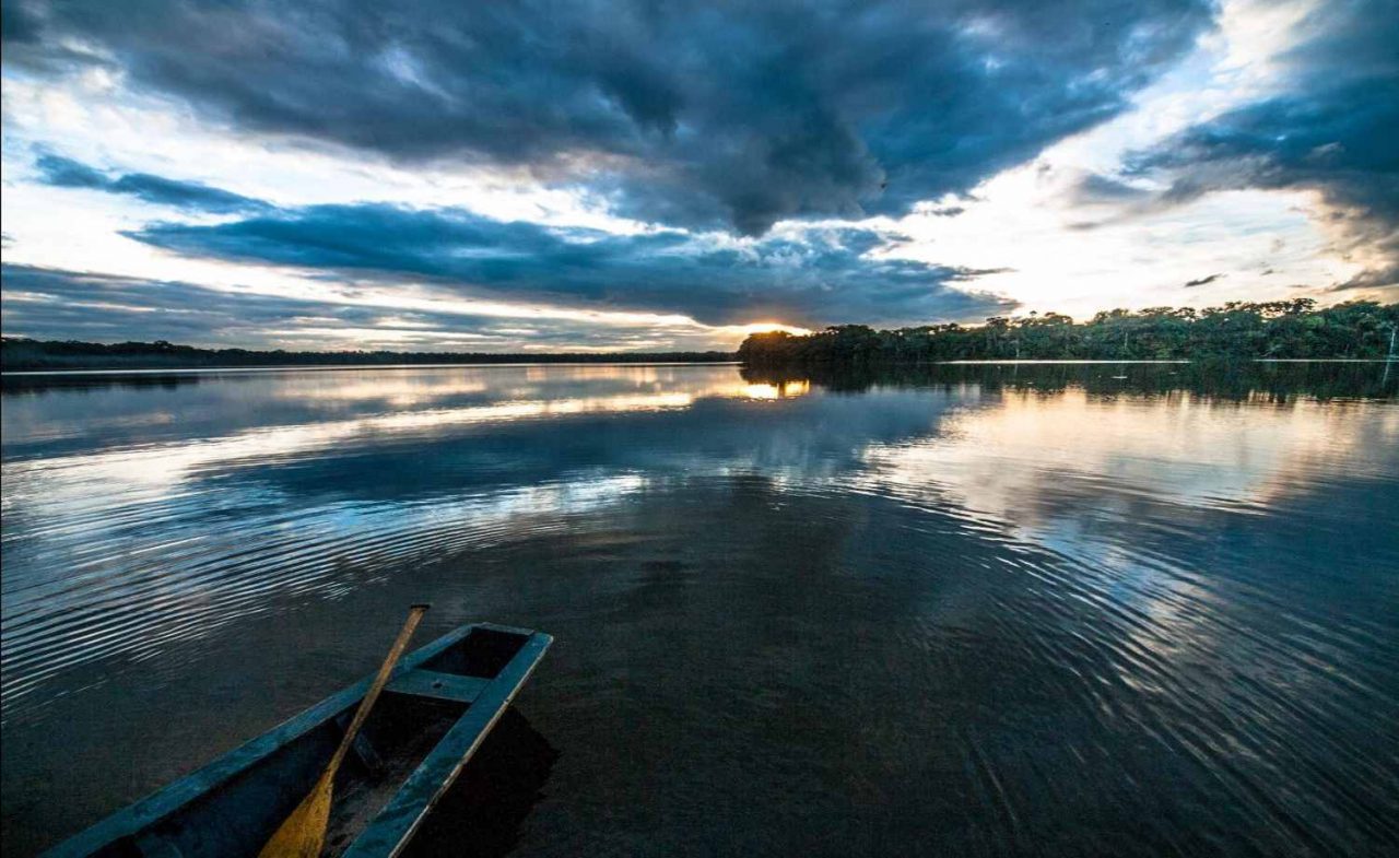 Dawn in the Amazon