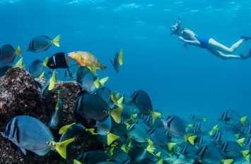 snorkelling-galapagos
