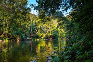 river-chagres-panama river-chagres-panama