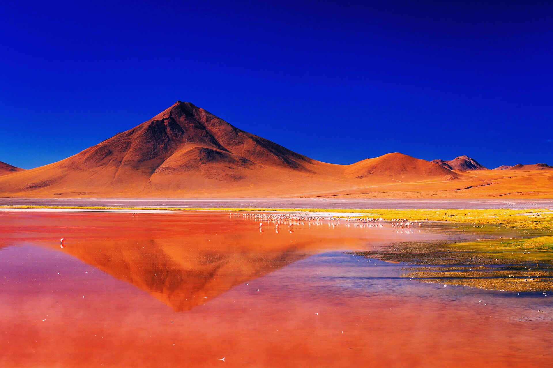 Laguna Colorada, Bolivia