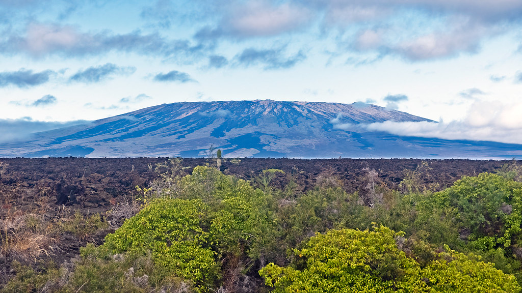 Galapagos_Isabela